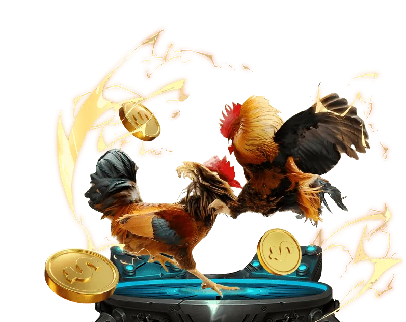 Hoàn trả cược đá gà hàng tuần